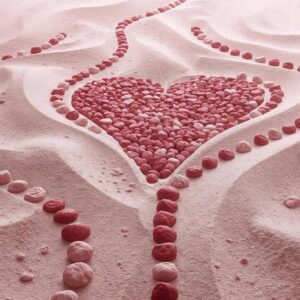 PULS – Die Essenz des Lebens